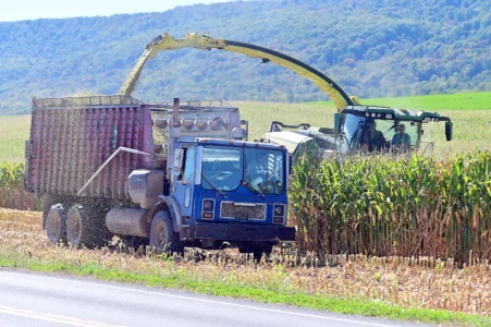 Harvest time